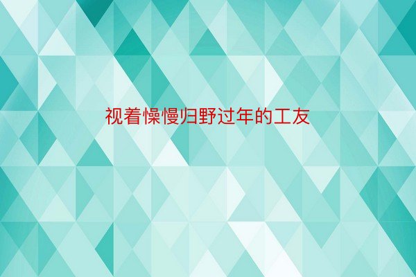 视着懆慢归野过年的工友