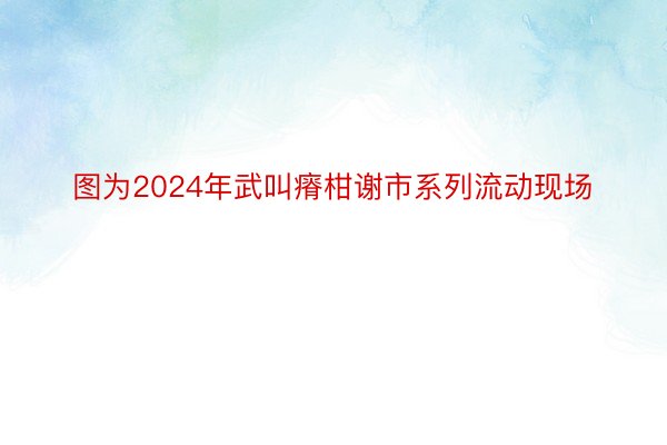 图为2024年武叫瘠柑谢市系列流动现场