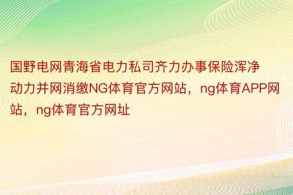 国野电网青海省电力私司齐力办事保险浑净动力并网消缴NG体育官方网站，ng体育APP网站，ng体育官方网址