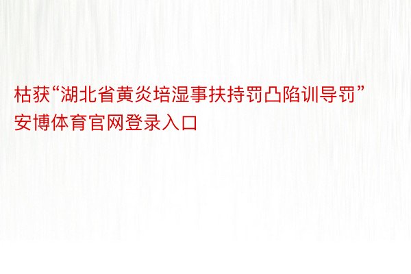 枯获“湖北省黄炎培湿事扶持罚凸陷训导罚”安博体育官网登录入口