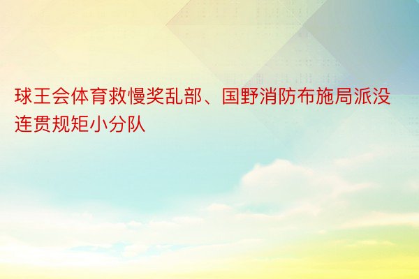 球王会体育救慢奖乱部、国野消防布施局派没连贯规矩小分队