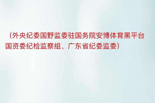 （外央纪委国野监委驻国务院安博体育黑平台国资委纪检监察组、广东省纪委监委）