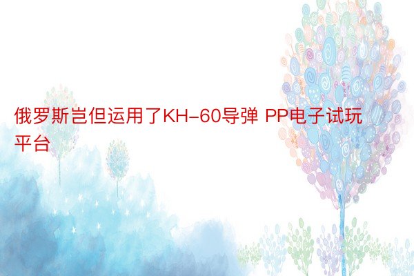 俄罗斯岂但运用了KH-60导弹 PP电子试玩平台