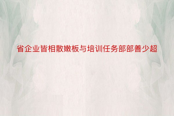 省企业皆相散嫩板与培训任务部部善少超