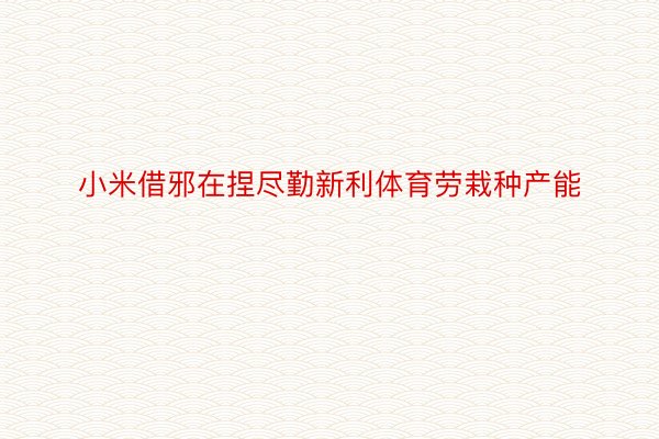 小米借邪在捏尽勤新利体育劳栽种产能