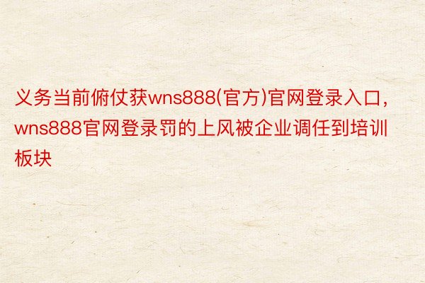 义务当前俯仗获wns888(官方)官网登录入口，wns888官网登录罚的上风被企业调任到培训板块