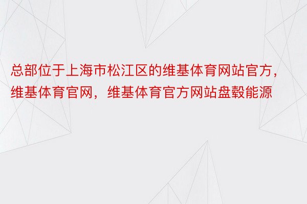 总部位于上海市松江区的维基体育网站官方，维基体育官网，维基体育官方网站盘毂能源