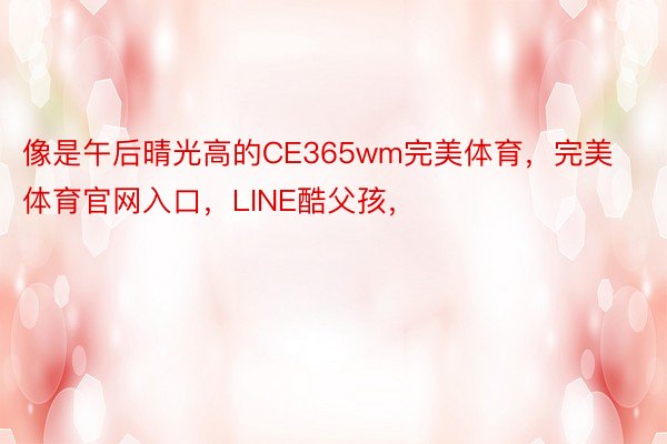 像是午后晴光高的CE365wm完美体育，完美体育官网入口，LINE酷父孩，