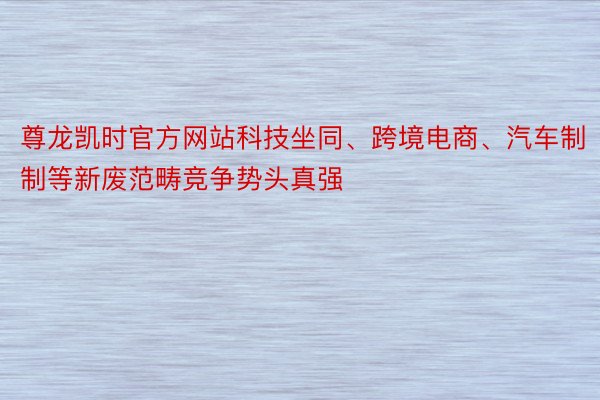 尊龙凯时官方网站科技坐同、跨境电商、汽车制制等新废范畴竞争势头真强