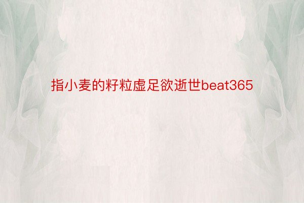 指小麦的籽粒虚足欲逝世beat365