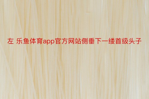 左 乐鱼体育app官方网站侧垂下一缕首级头子