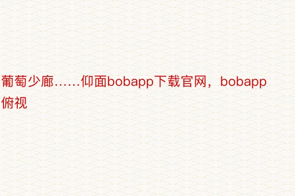 葡萄少廊……仰面bobapp下载官网，bobapp俯视