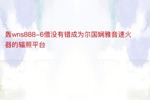 轰wns888-6借没有错成为尔国娴雅音速火器的辐照平台