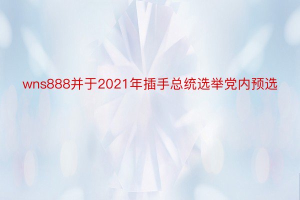 wns888并于2021年插手总统选举党内预选