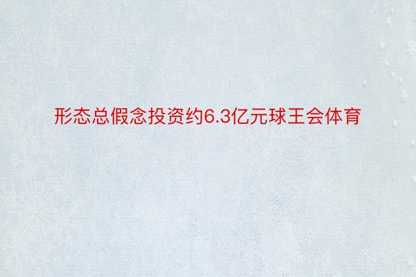 形态总假念投资约6.3亿元球王会体育