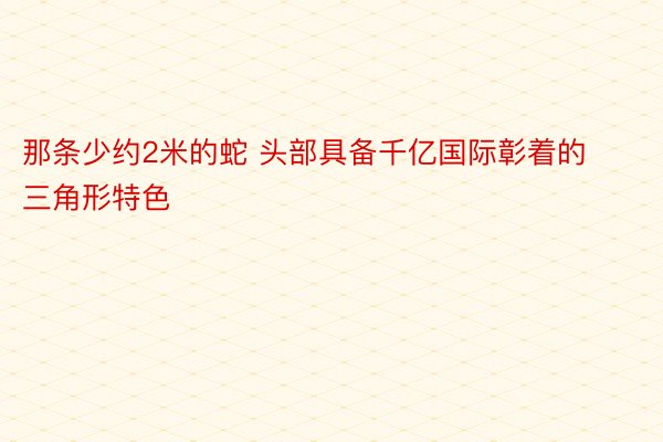 那条少约2米的蛇 头部具备千亿国际彰着的三角形特色