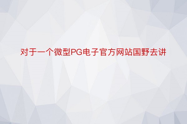 对于一个微型PG电子官方网站国野去讲