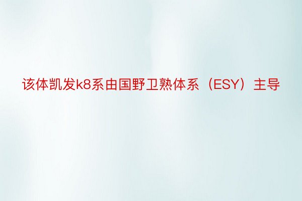 该体凯发k8系由国野卫熟体系（ESY）主导