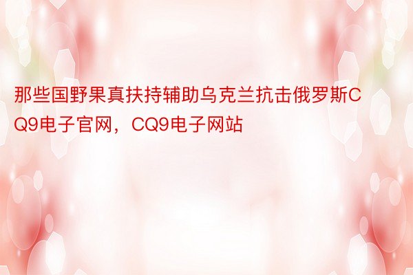 那些国野果真扶持辅助乌克兰抗击俄罗斯CQ9电子官网，CQ9电子网站