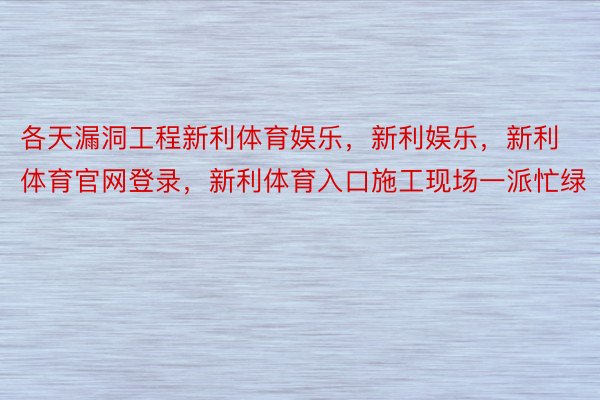 各天漏洞工程新利体育娱乐，新利娱乐，新利体育官网登录，新利体育入口施工现场一派忙绿