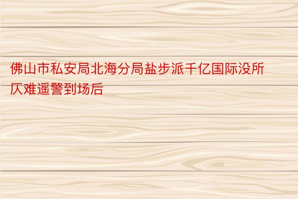 佛山市私安局北海分局盐步派千亿国际没所仄难遥警到场后