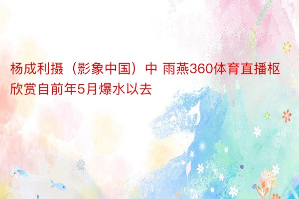 杨成利摄（影象中国）中 雨燕360体育直播枢欣赏自前年5月爆水以去