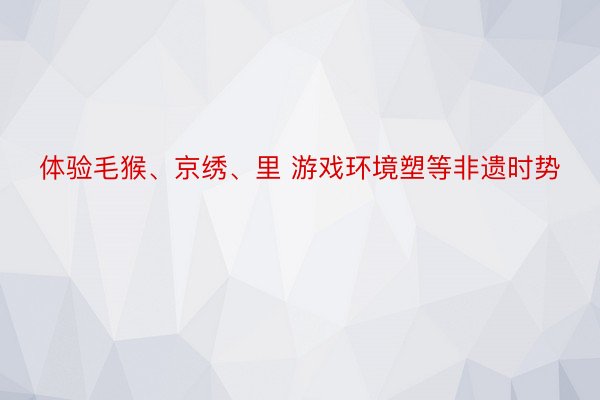 体验毛猴、京绣、里 游戏环境塑等非遗时势