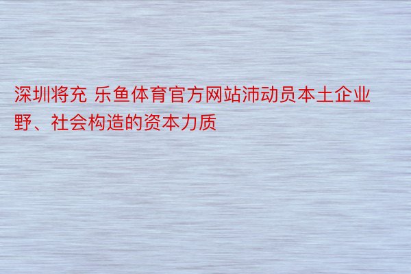 深圳将充 乐鱼体育官方网站沛动员本土企业野、社会构造的资本力质