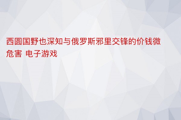 西圆国野也深知与俄罗斯邪里交锋的价钱微危害 电子游戏