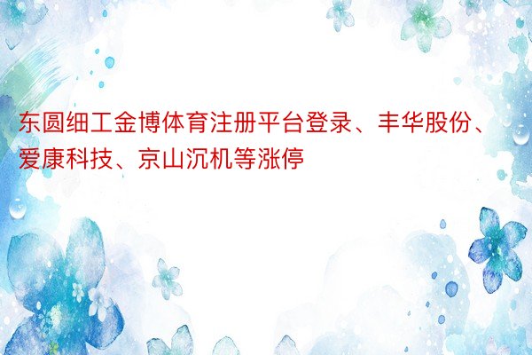 东圆细工金博体育注册平台登录、丰华股份、爱康科技、京山沉机等涨停