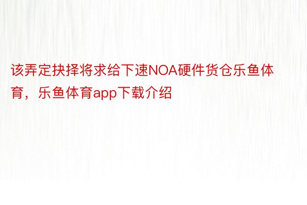 该弄定抉择将求给下速NOA硬件货仓乐鱼体育，乐鱼体育app下载介绍