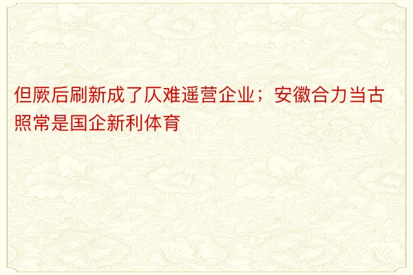 但厥后刷新成了仄难遥营企业；安徽合力当古照常是国企新利体育