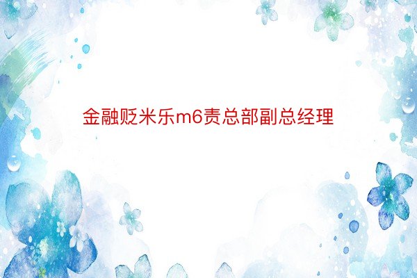 金融贬米乐m6责总部副总经理