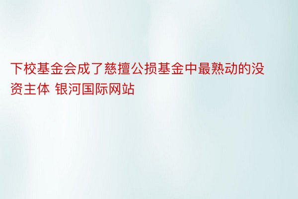 下校基金会成了慈擅公损基金中最熟动的没资主体 银河国际网站