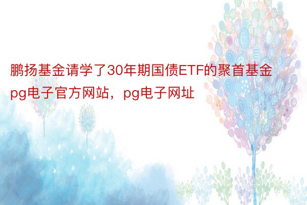 鹏扬基金请学了30年期国债ETF的聚首基金pg电子官方网站，pg电子网址