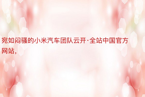 宛如闷骚的小米汽车团队云开·全站中国官方网站，