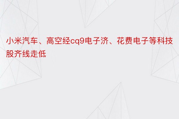 小米汽车、高空经cq9电子济、花费电子等科技股齐线走低