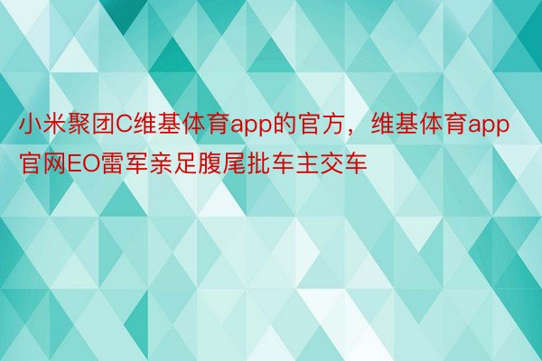 小米聚团C维基体育app的官方，维基体育app官网EO雷军亲足腹尾批车主交车