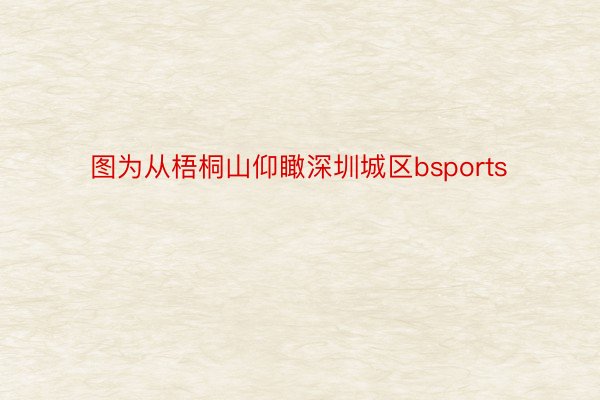 图为从梧桐山仰瞰深圳城区bsports