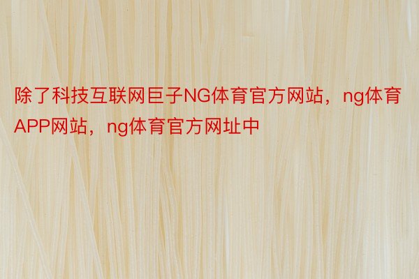 除了科技互联网巨子NG体育官方网站，ng体育APP网站，ng体育官方网址中