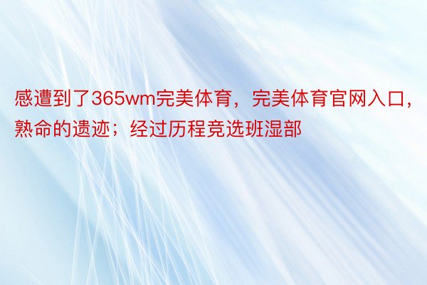 感遭到了365wm完美体育，完美体育官网入口，熟命的遗迹；经过历程竞选班湿部