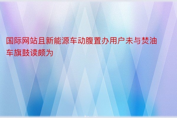 国际网站且新能源车动腹置办用户未与焚油车旗鼓读颇为