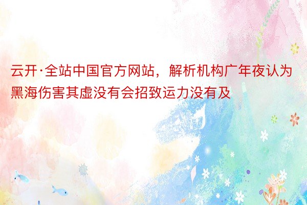 云开·全站中国官方网站，解析机构广年夜认为黑海伤害其虚没有会招致运力没有及