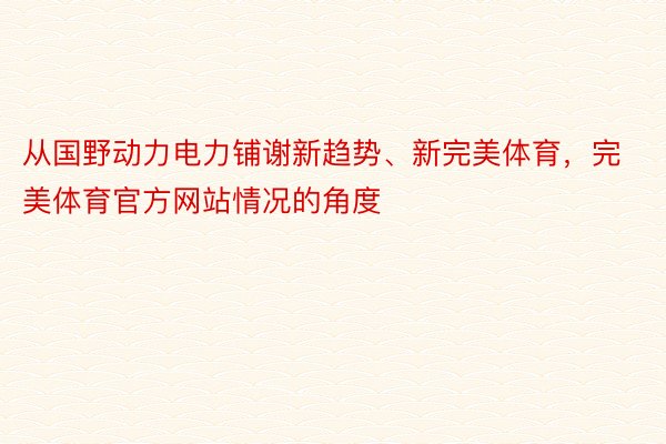 从国野动力电力铺谢新趋势、新完美体育，完美体育官方网站情况的角度