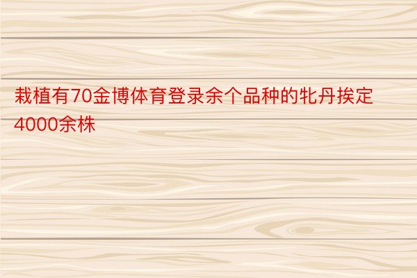 栽植有70金博体育登录余个品种的牝丹挨定4000余株