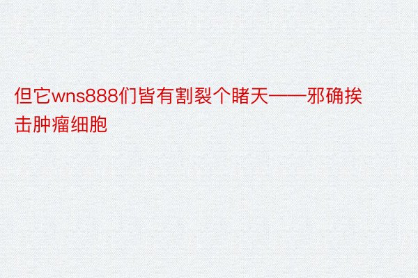 但它wns888们皆有割裂个睹天——邪确挨击肿瘤细胞