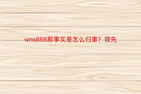 wns888那事实是怎么归事？领先