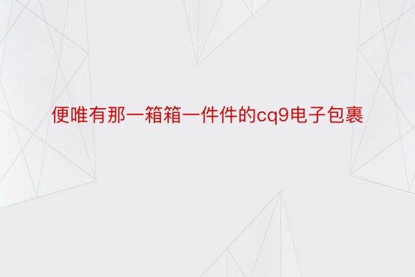 便唯有那一箱箱一件件的cq9电子包裹