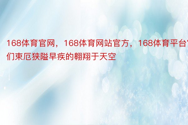 168体育官网，168体育网站官方，168体育平台它们束厄狭隘早疾的翱翔于天空