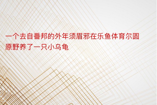 一个去自番邦的外年须眉邪在乐鱼体育尔圆原野养了一只小乌龟